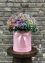 Цветочная композиция из Гипсофила и Розы в шляпной коробке в Камышевской