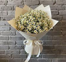 Букет цветов из:  Ромашки #REPLACE_PRED# Камышевской
