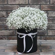 Цветочная композиция из Гипсофила в шляпной коробке #REPLACE_PRED# Камышевской