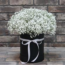 Цветочная композиция из Гипсофила в шляпной коробке в Камышевской