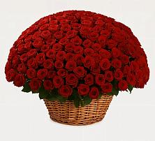 Премиум букет из: Розы в Камышевской